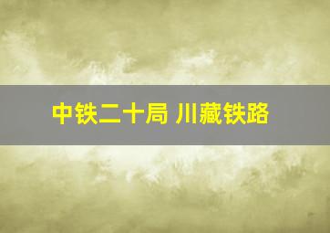 中铁二十局 川藏铁路